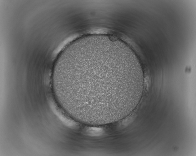 X0000112870159200909111540