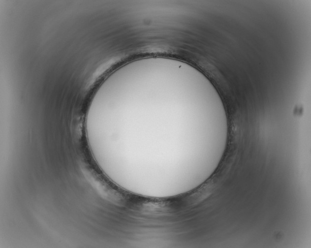 X0000112870160200909111540