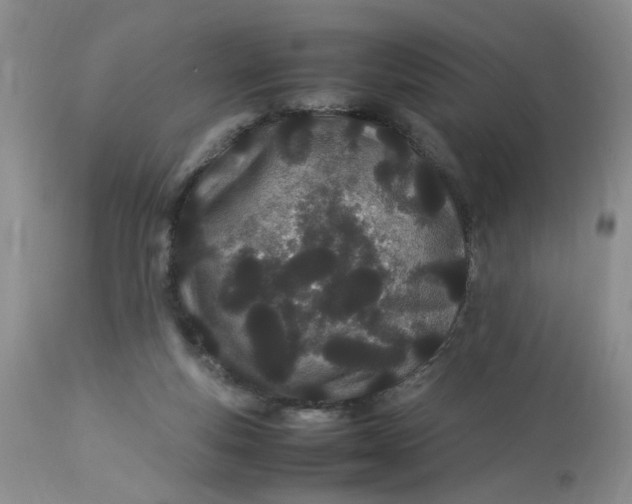 X0000112870163200909111540