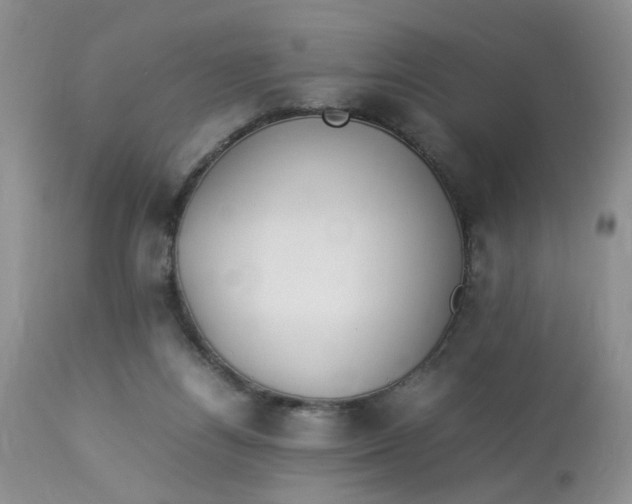 X0000112870164200909111540