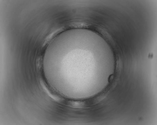 X0000112870165200909111540