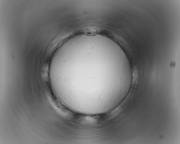 X0000112870166200909111540