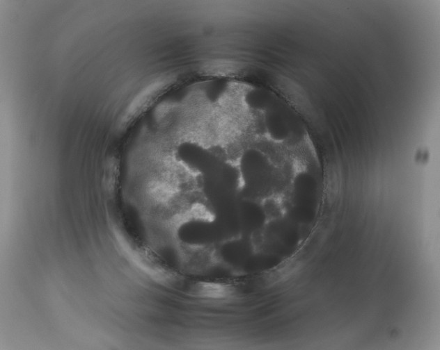 X0000112870167200909111540