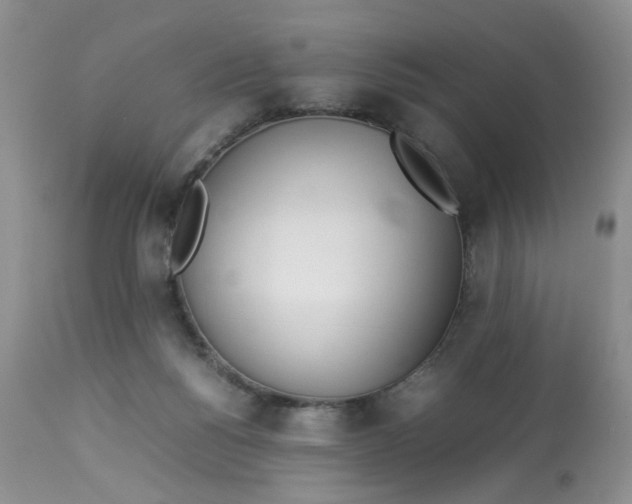 X0000112870168200909111540