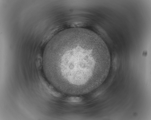 X0000112870169200909111540