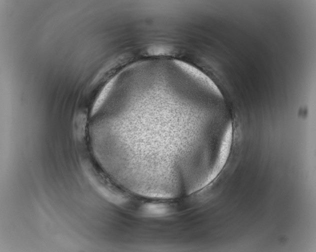 X0000112870171200909111540