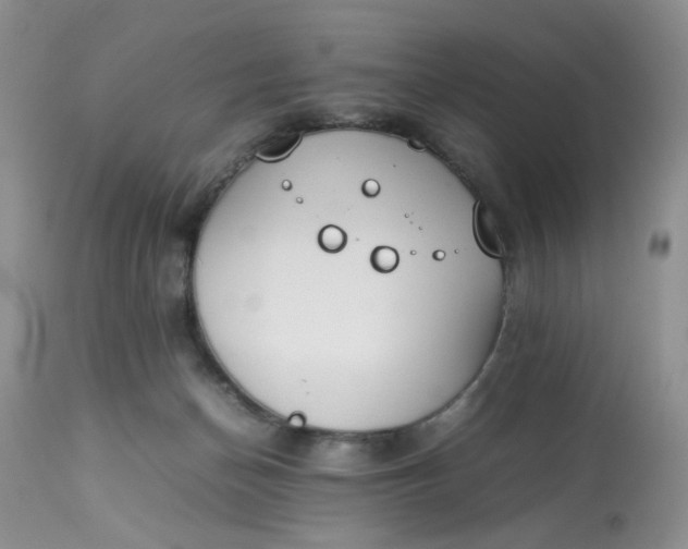 X0000112870174200909111540