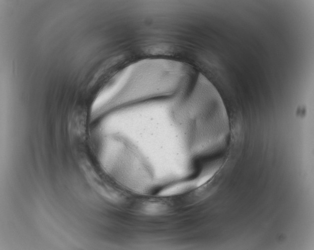 X0000112870175200909111540