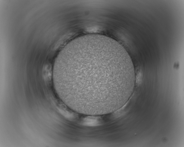 X0000112870179200909111540