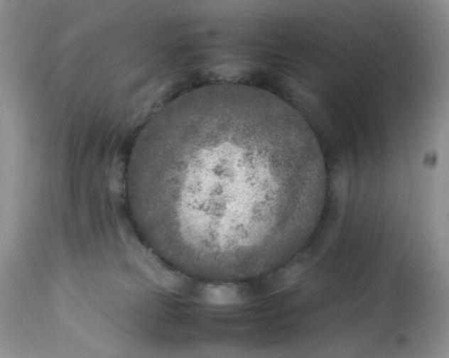 X0000112870181200909111541