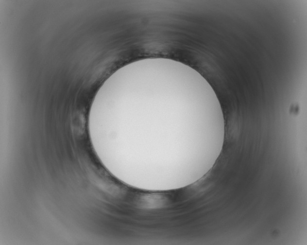 X0000112870183200909111541