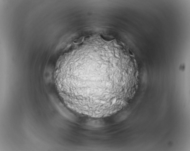 X0000112870185200909111541