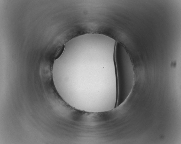 X0000112870186200909111541