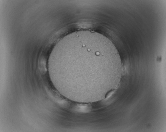 X0000112870187200909111541