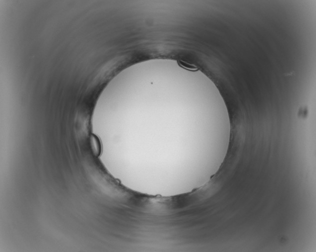 X0000112870188200909111541