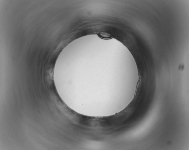 X0000112870190200909111541