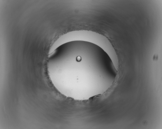 X0000112870192200909111541