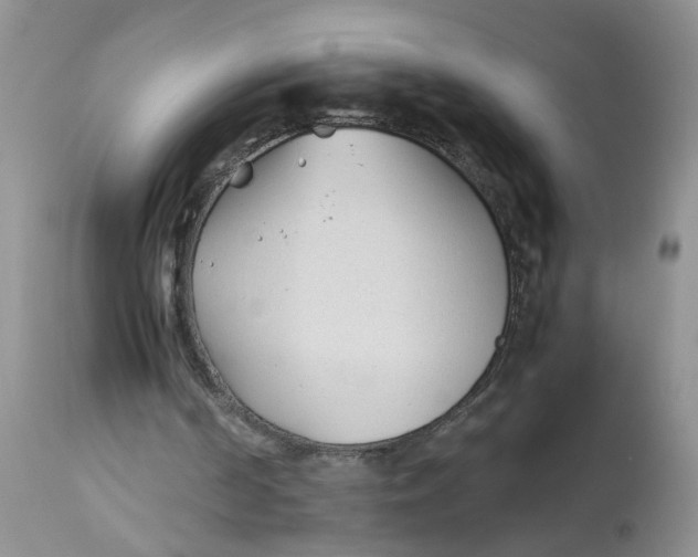 X0000112870194200909111540