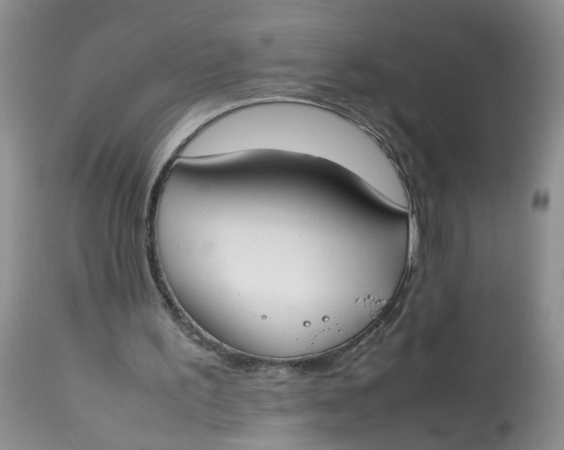 X0000112870195200909111540