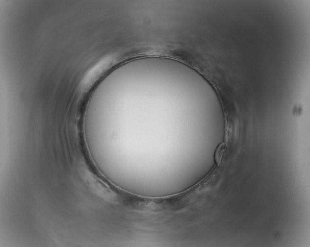 X0000112870197200909111540