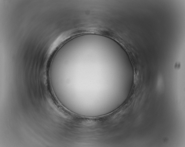 X0000112870198200909111540