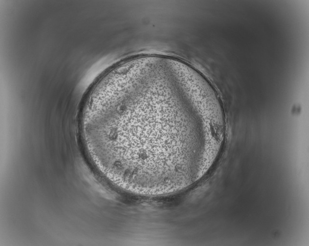 X0000112870199200909111540