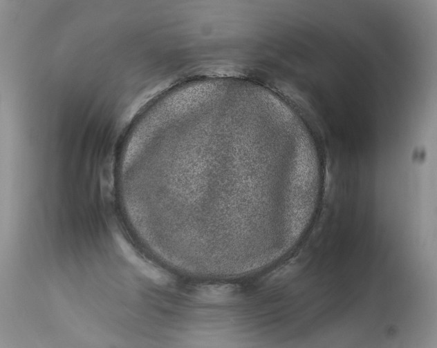 X0000112870202200909111540