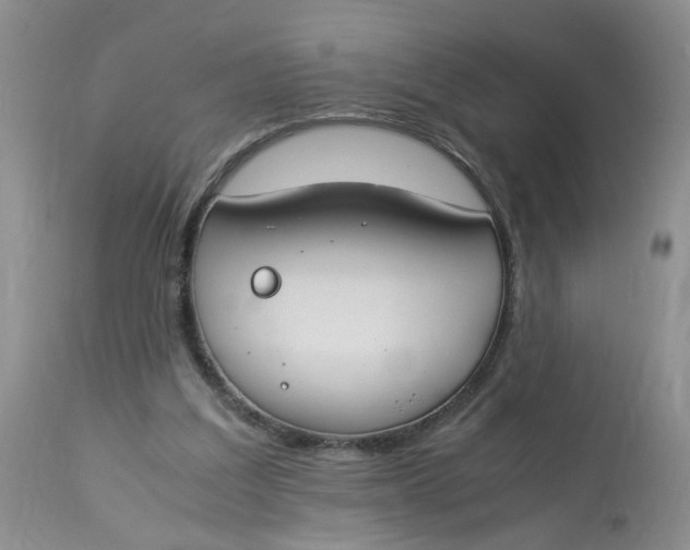 X0000112870203200909111540