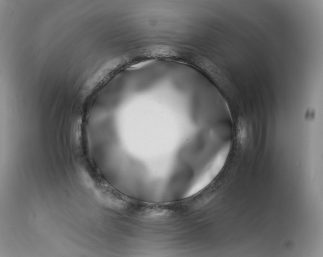 X0000112870206200909111540