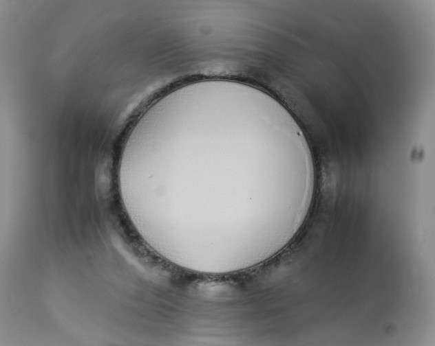 X0000112870208200909111540