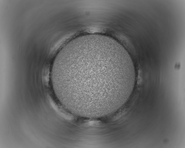 X0000112870210200909111540