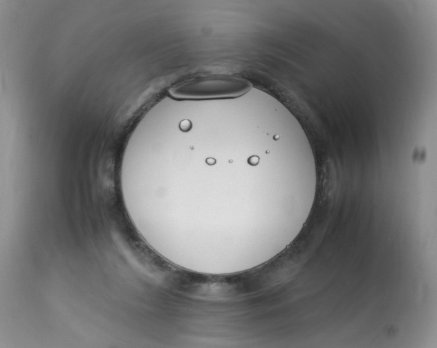 X0000112870212200909111540