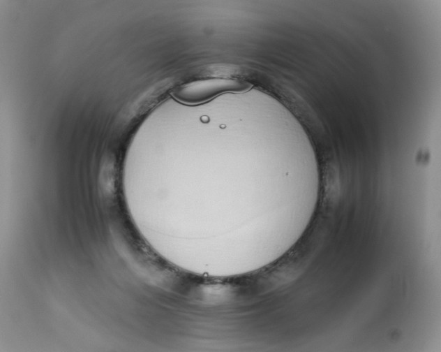 X0000112870216200909111540