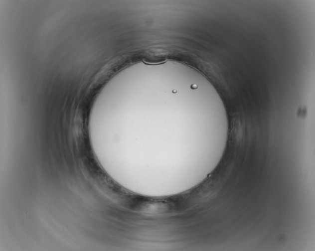 X0000112870220200909111540