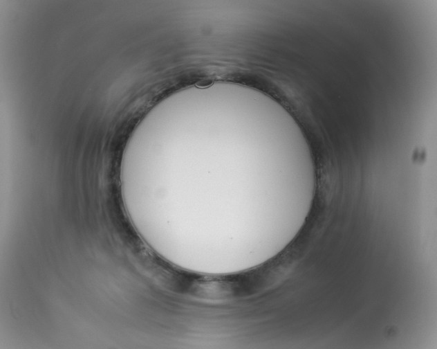 X0000112870221200909111540