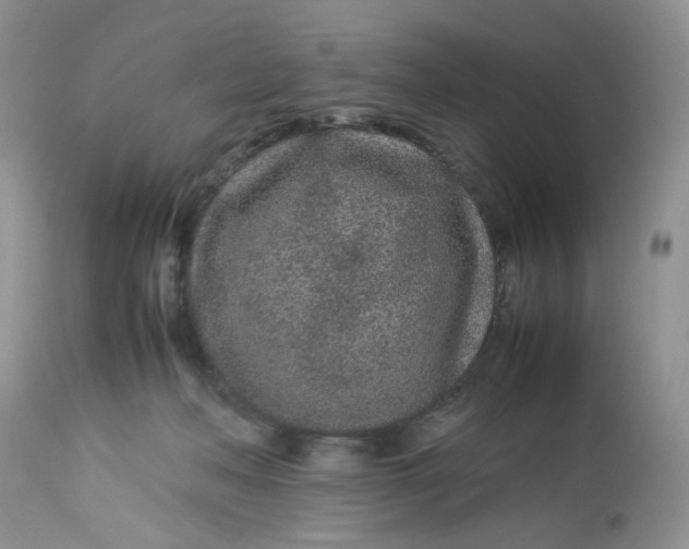 X0000112870222200909111540