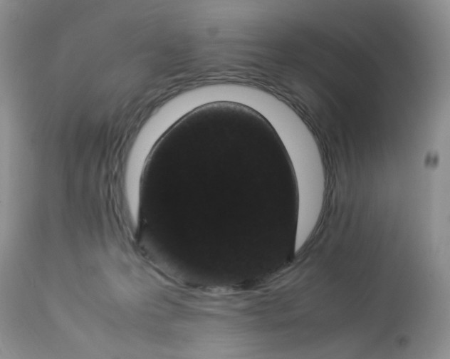 X0000112870223200909111540