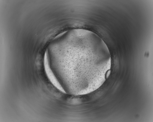 X0000112870228200909111540