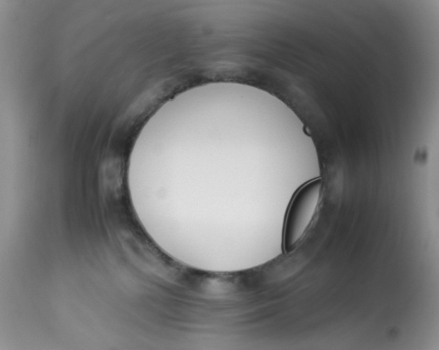 X0000112870232200909111539