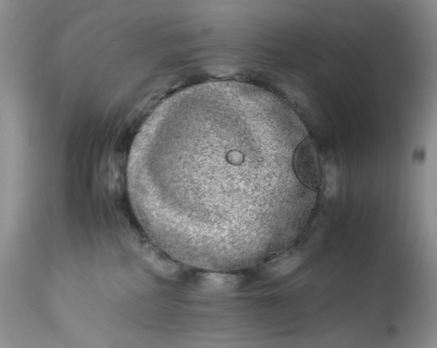 X0000112870234200909111539