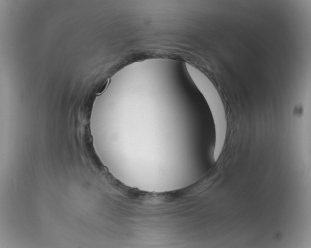 X0000112870235200909111539