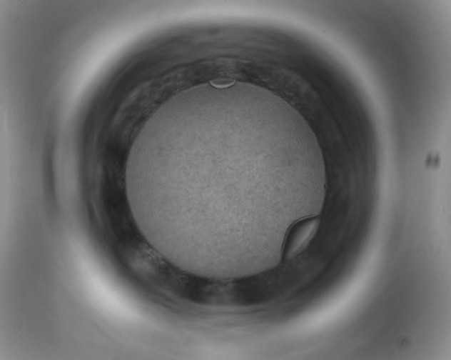 X0000112870239200909111539