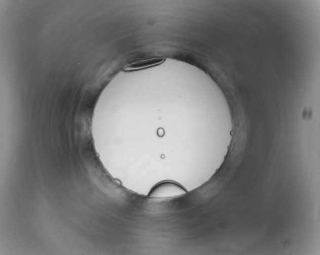 X0000112870240200909111539