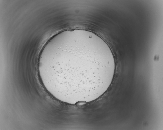 X0000112870241200909111539