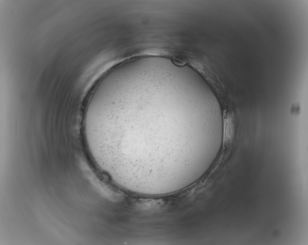 X0000112870243200909111539