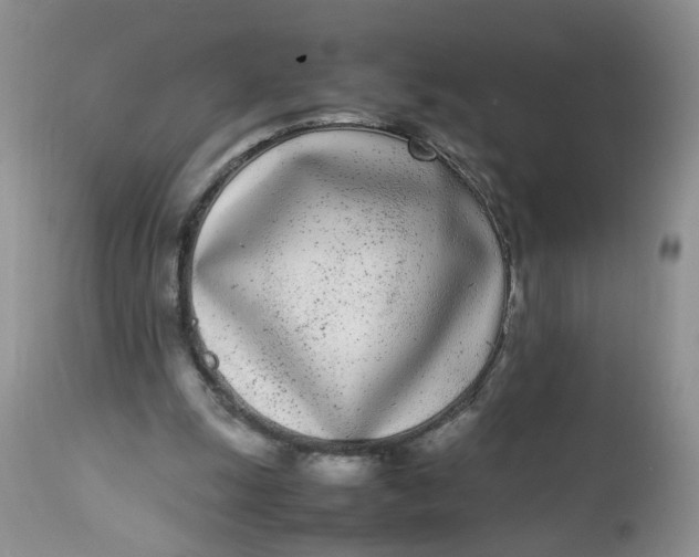 X0000112870247200909111539