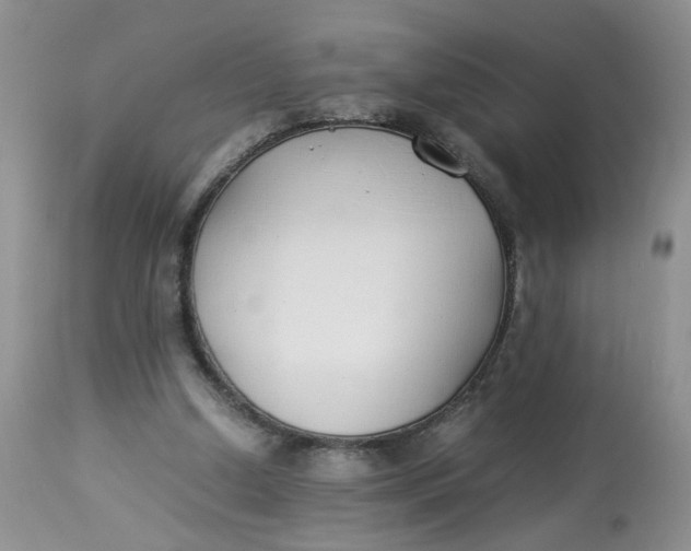 X0000112870250200909111539