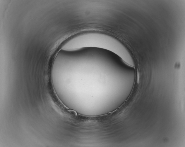 X0000112870252200909111539