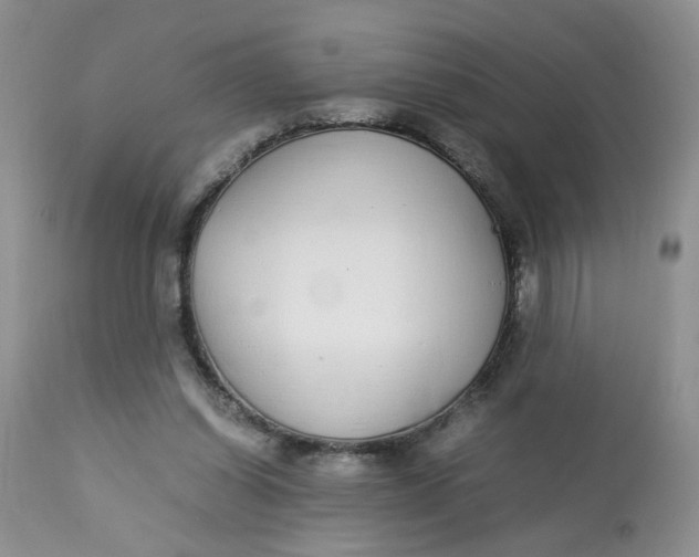 X0000112870254200909111539