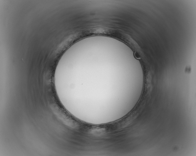 X0000112870257200909111539